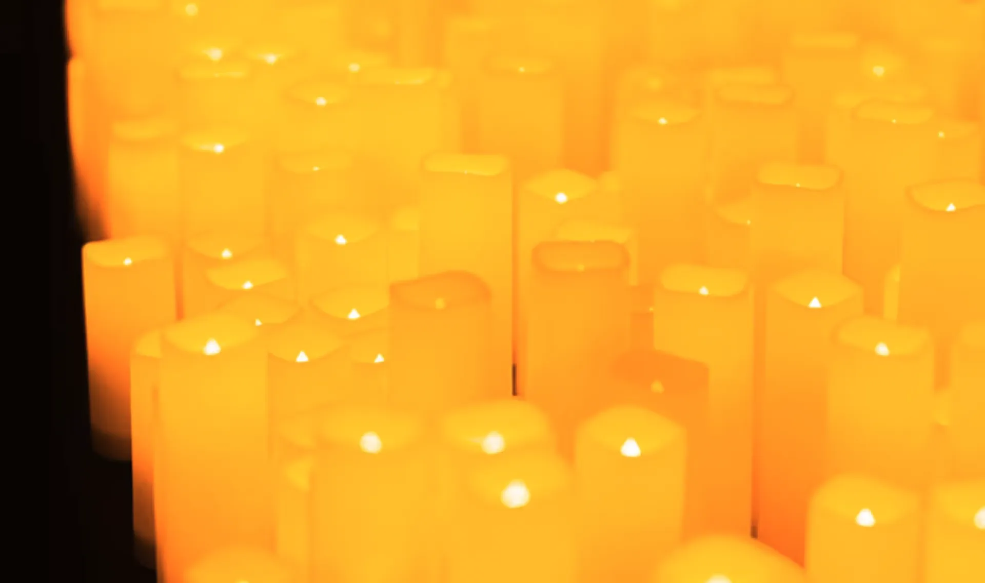 Candlelight, Queen и ABBA